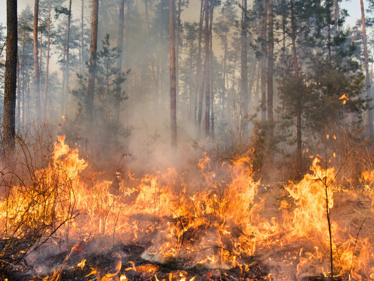 Wildfire & Disaster Insurance On-line Town Hall