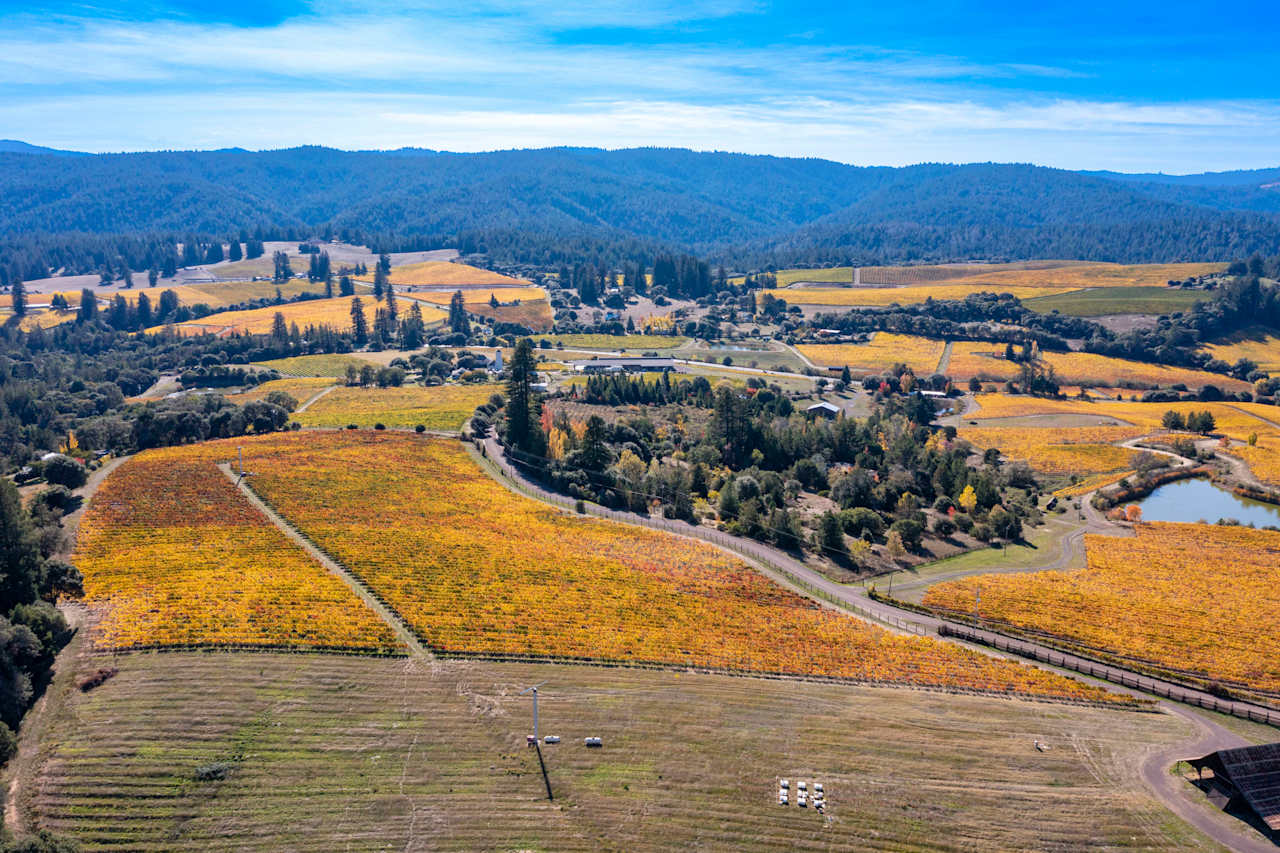 Anderson Valley, Vineyard Kevin McDonald