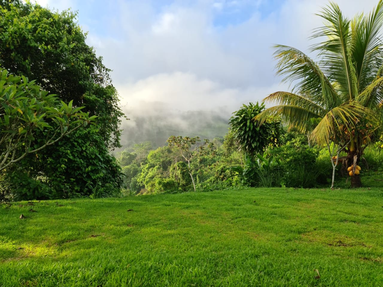 Finca Río General in Santa Luisa