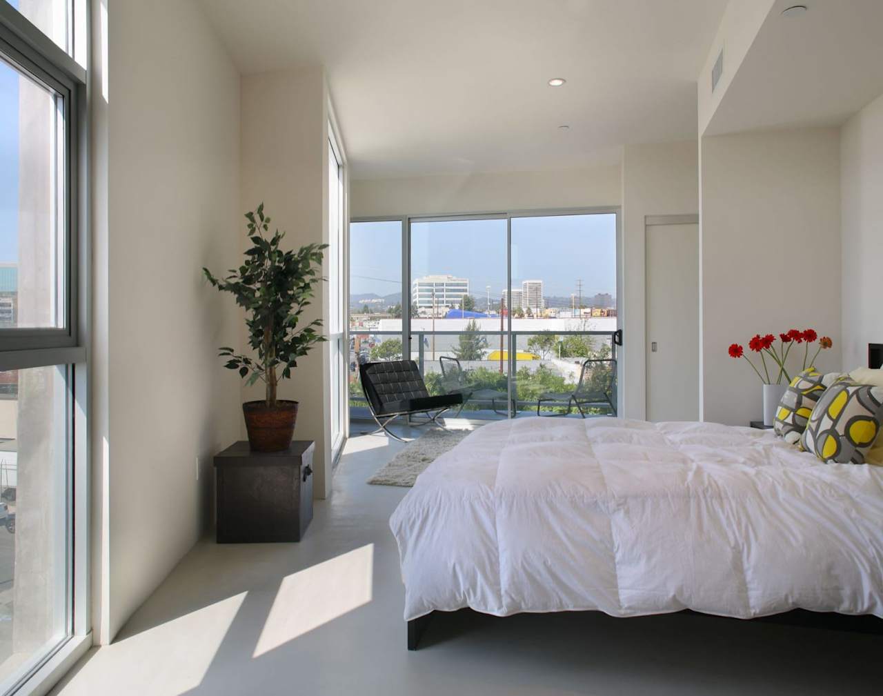 Development DPP Real Estate