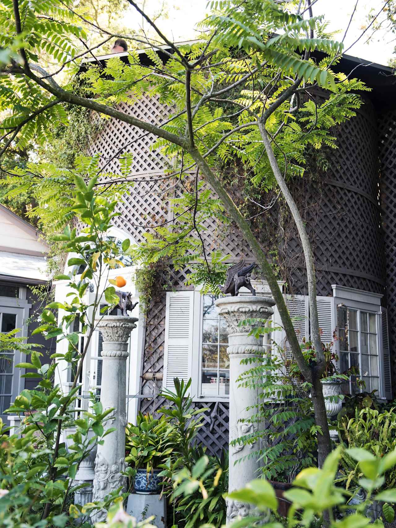 8805 LOOKOUT MOUNTAIN Avenue