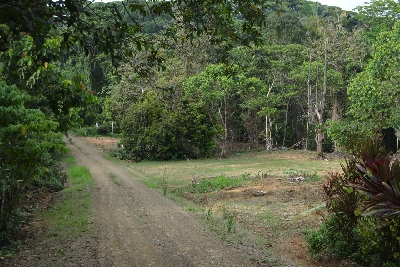 Lagunas 5 Lots 1 Acre+ Lagunas/Dominical