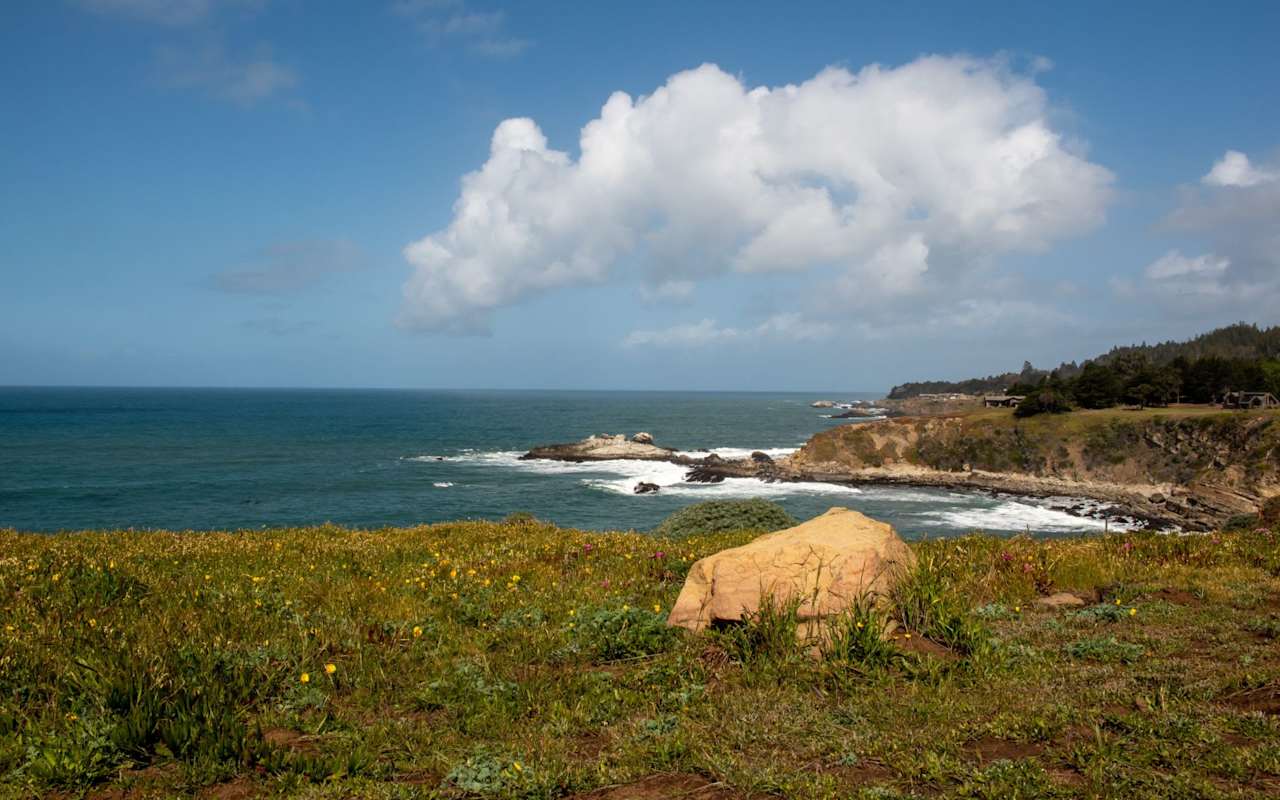 Top Sonoma Coast Real Estate Agents