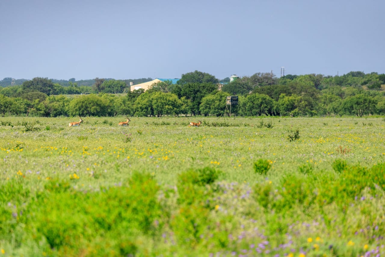 Golden Eagle Ranch