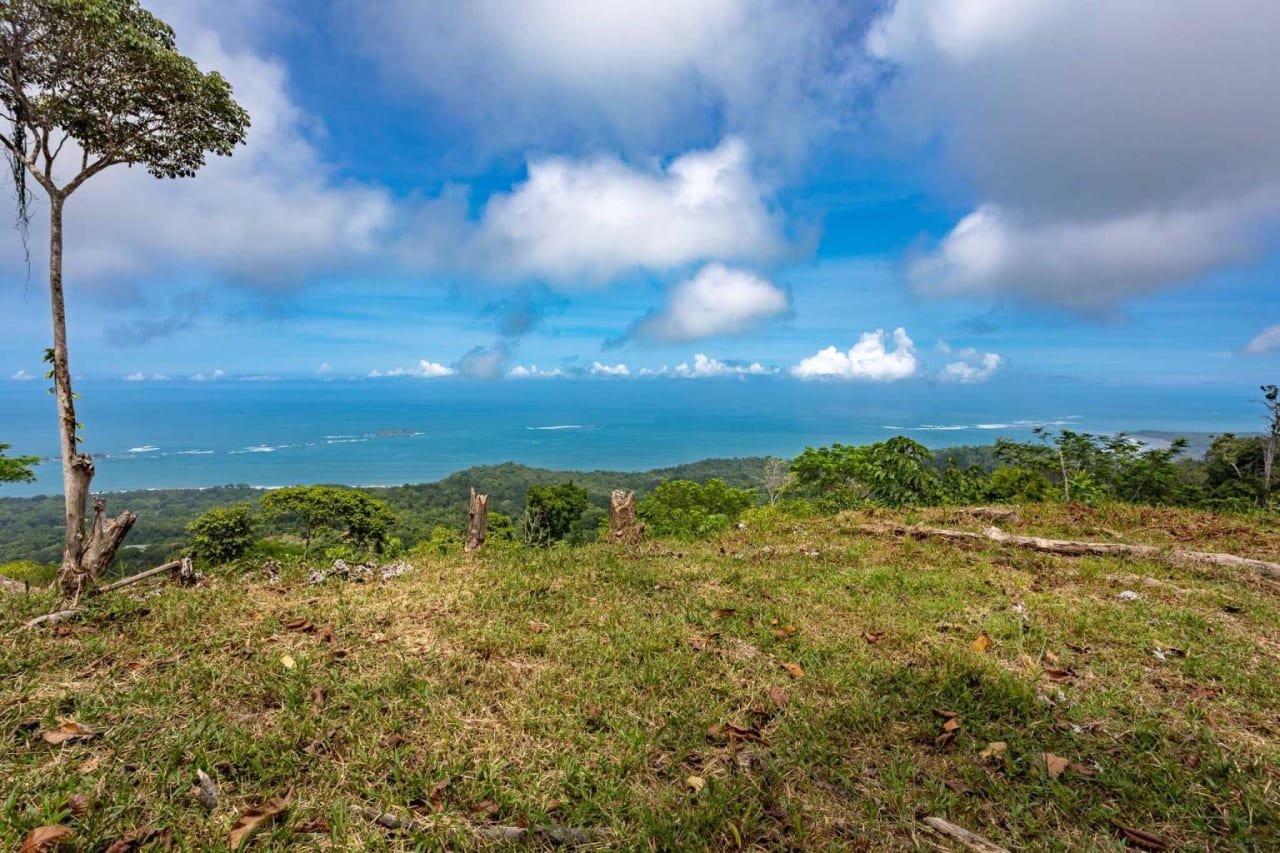 Ocean View Bliss: Prime Development Parcel With Whale Tail Views In Uvita