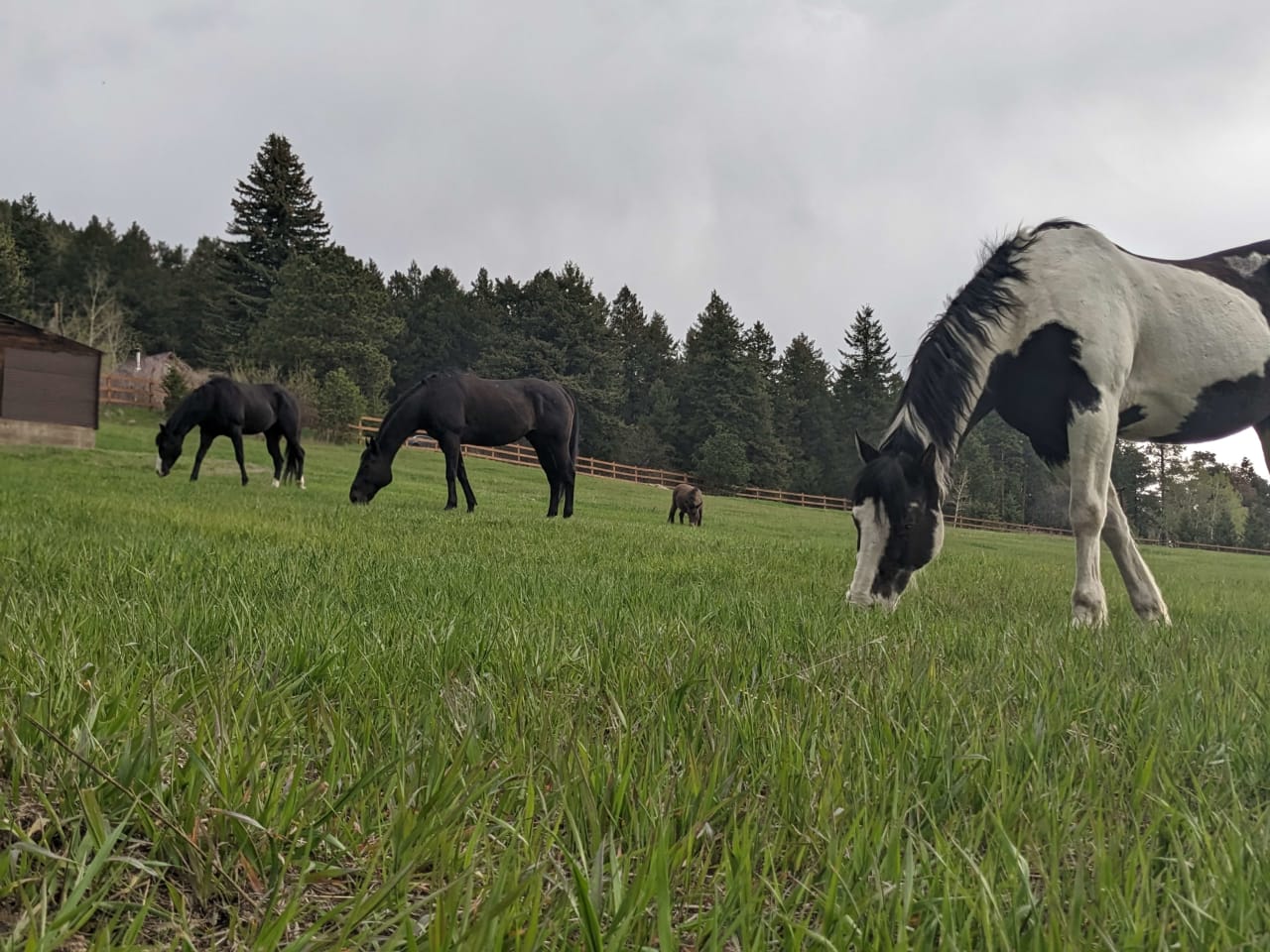 Doubleheader Ranch