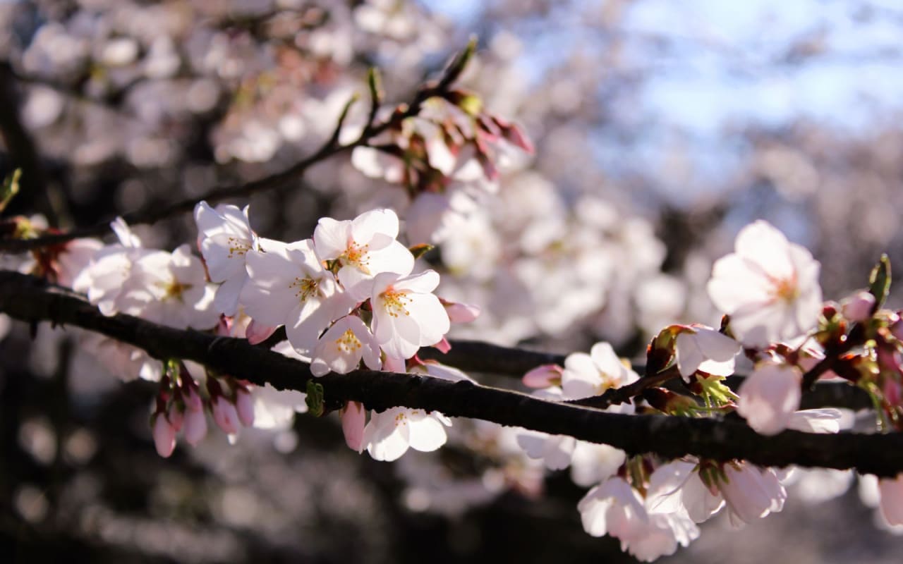 Freshen Up Your Curb Appeal for Spring