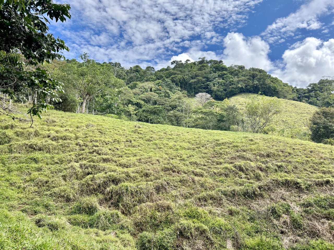 Hidden Gem: Serene Farm Retreat with Majestic Views in Costa Rica