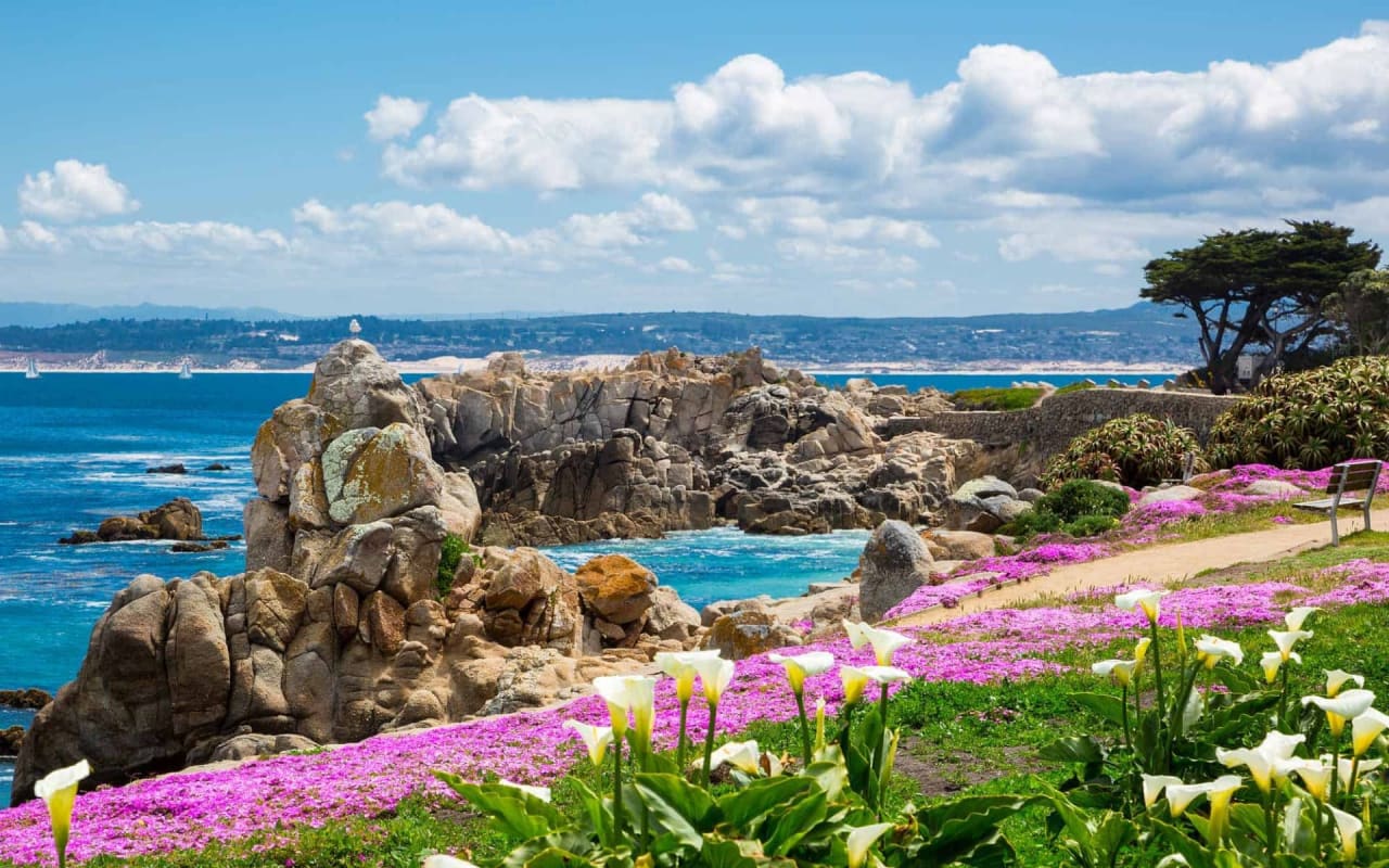 Pacific Grove