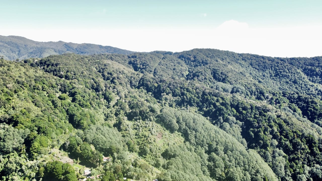 Conservation Style Land in Cerro de La Muerte with one Building Site