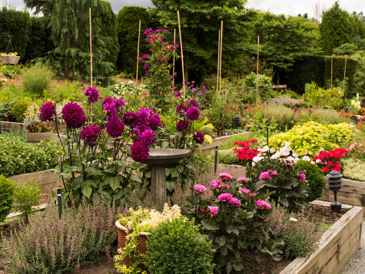 VDB Compass Seattle Real Estate