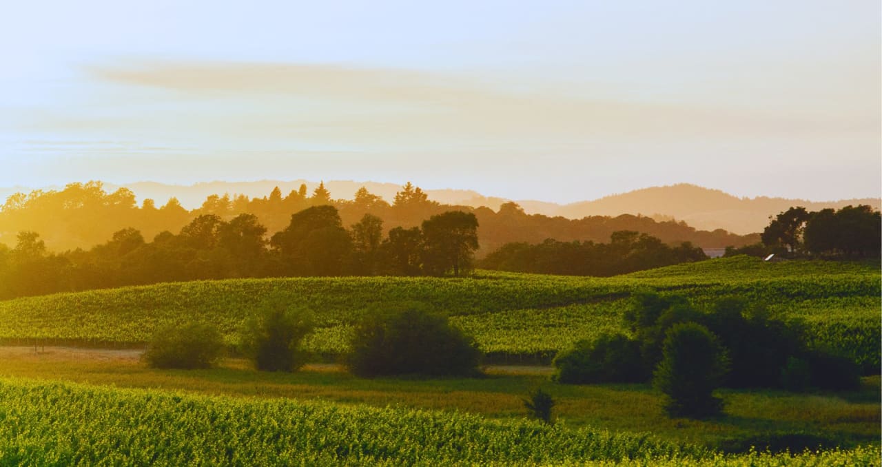 Sonoma Market Report | March 2024