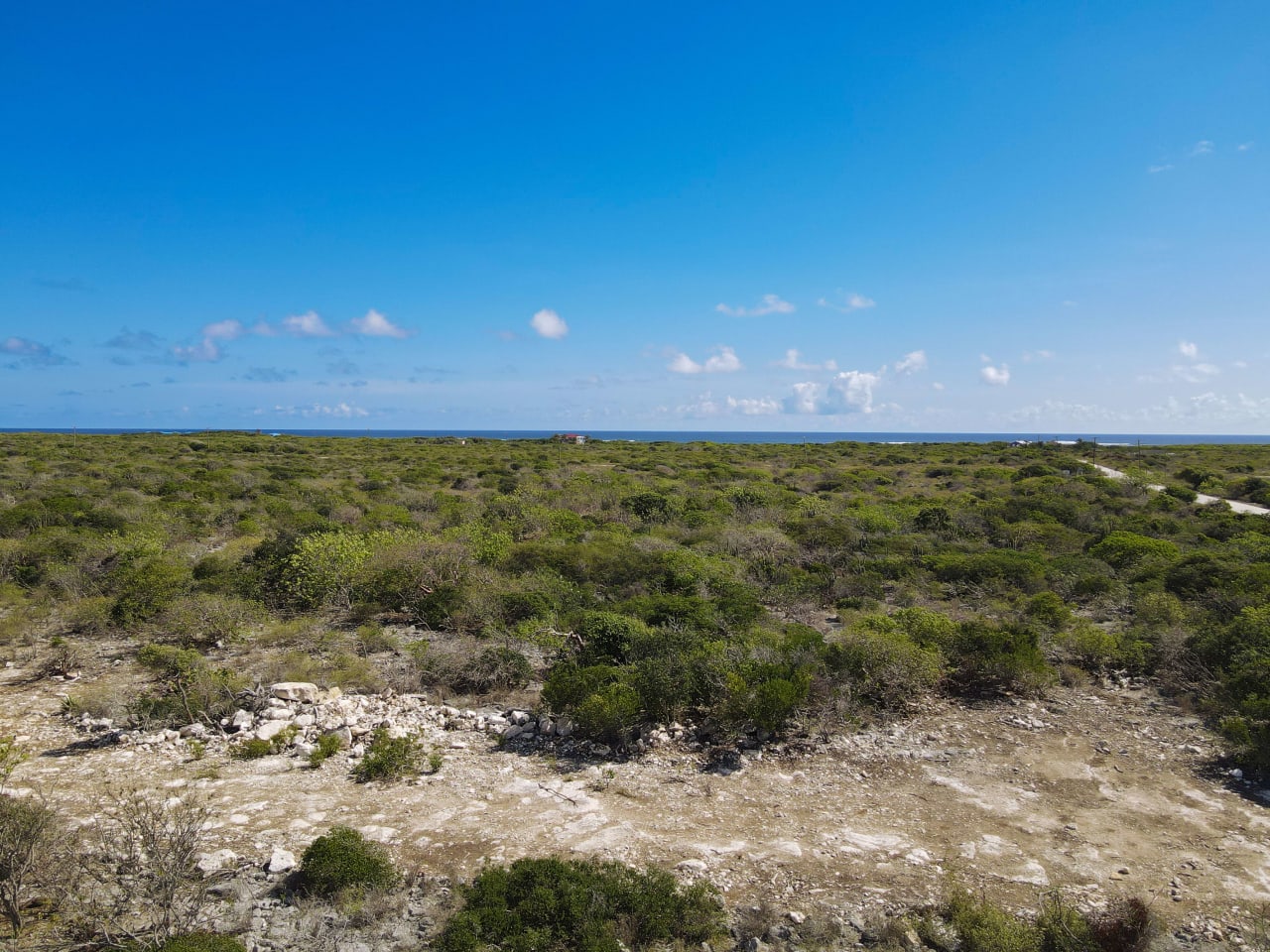 779 .526 Acres at Loblolly Bay