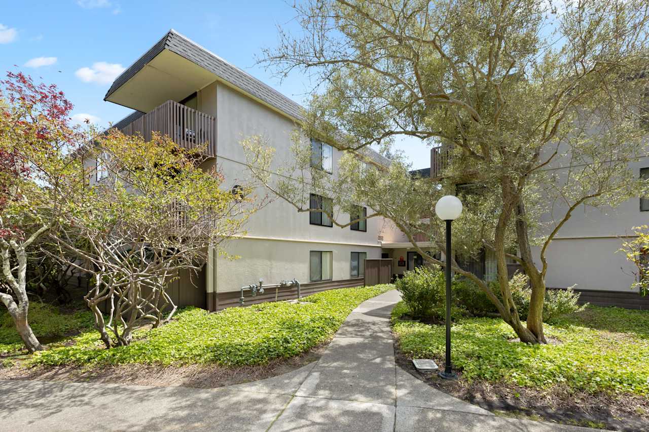 Shelter Creek Derrick Mar