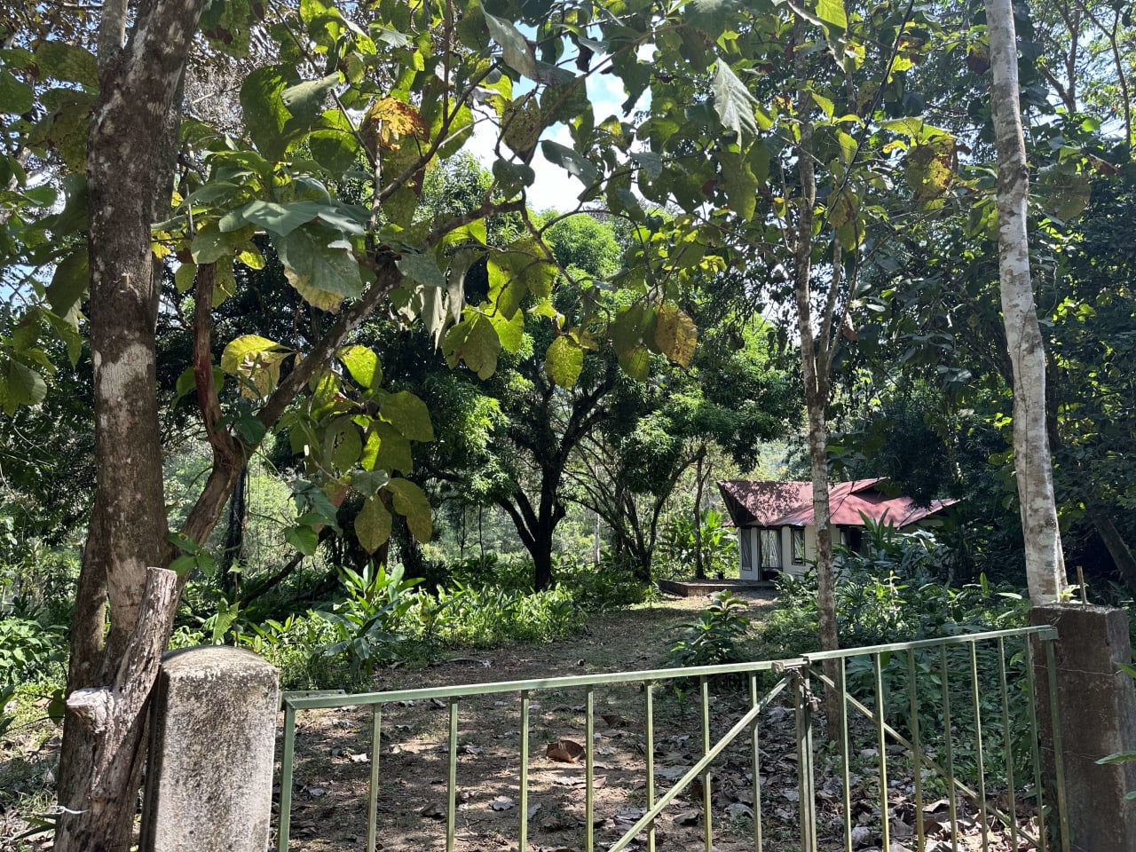 INVESTMENT OPPORTUNITY IN PLATANILLO – YOUR FIXER-UPPER DREAM WALKING DISTANCE TO NAUYACA WATERFALL