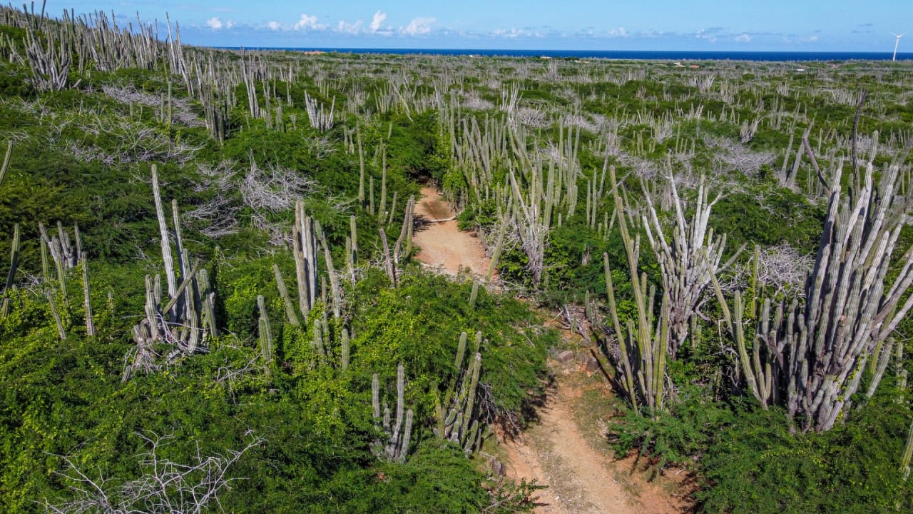 BES Islands Real Estate Bonaire Land For Sale Investment