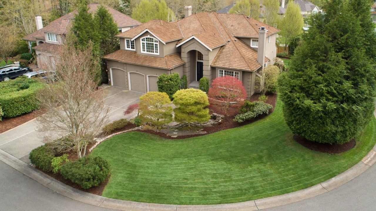 Contact Us METIS Real Estate