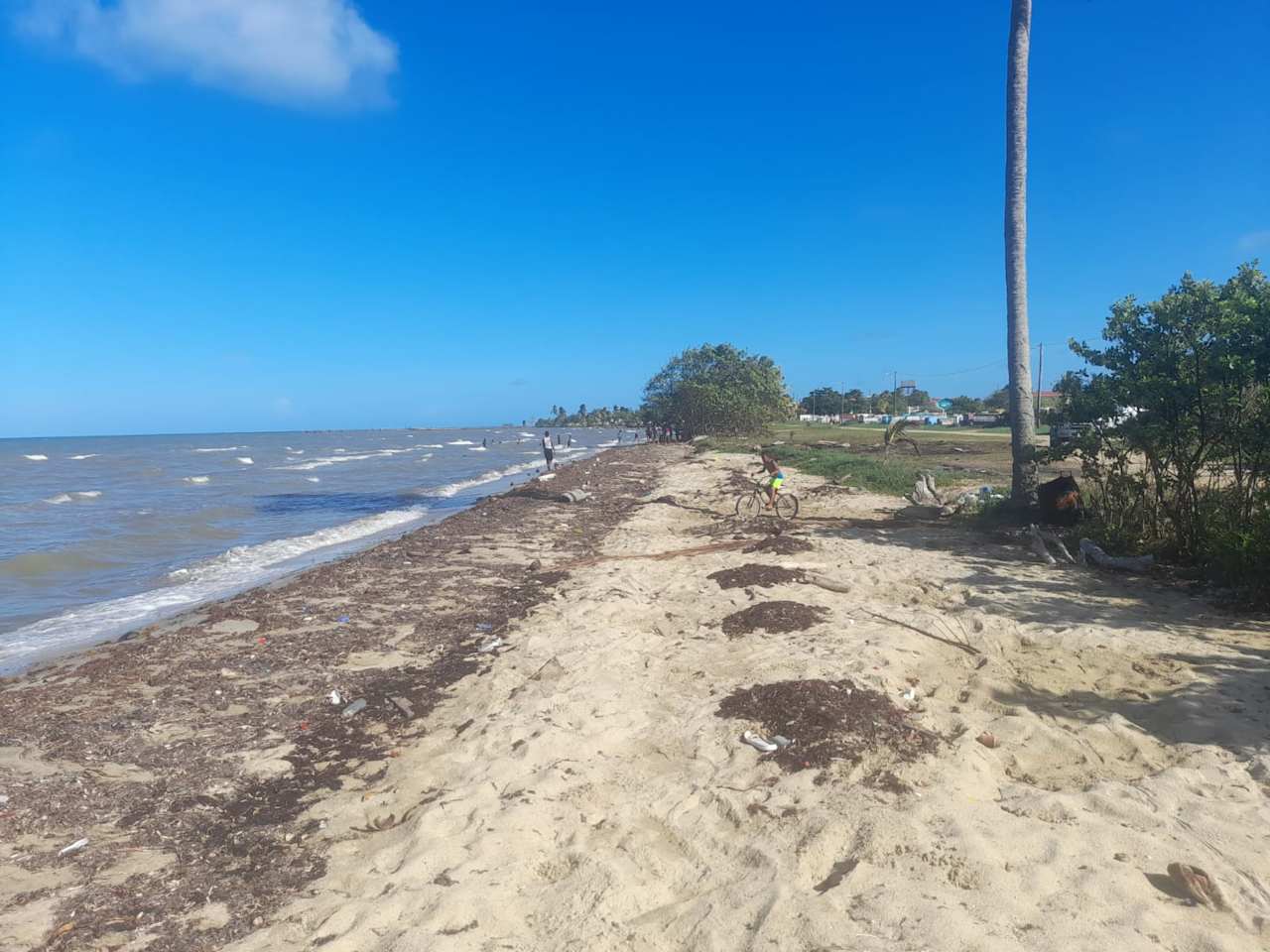 Charming 1.6 acre Caribbean Beachfront peninsular in Dangriga Town, Belize