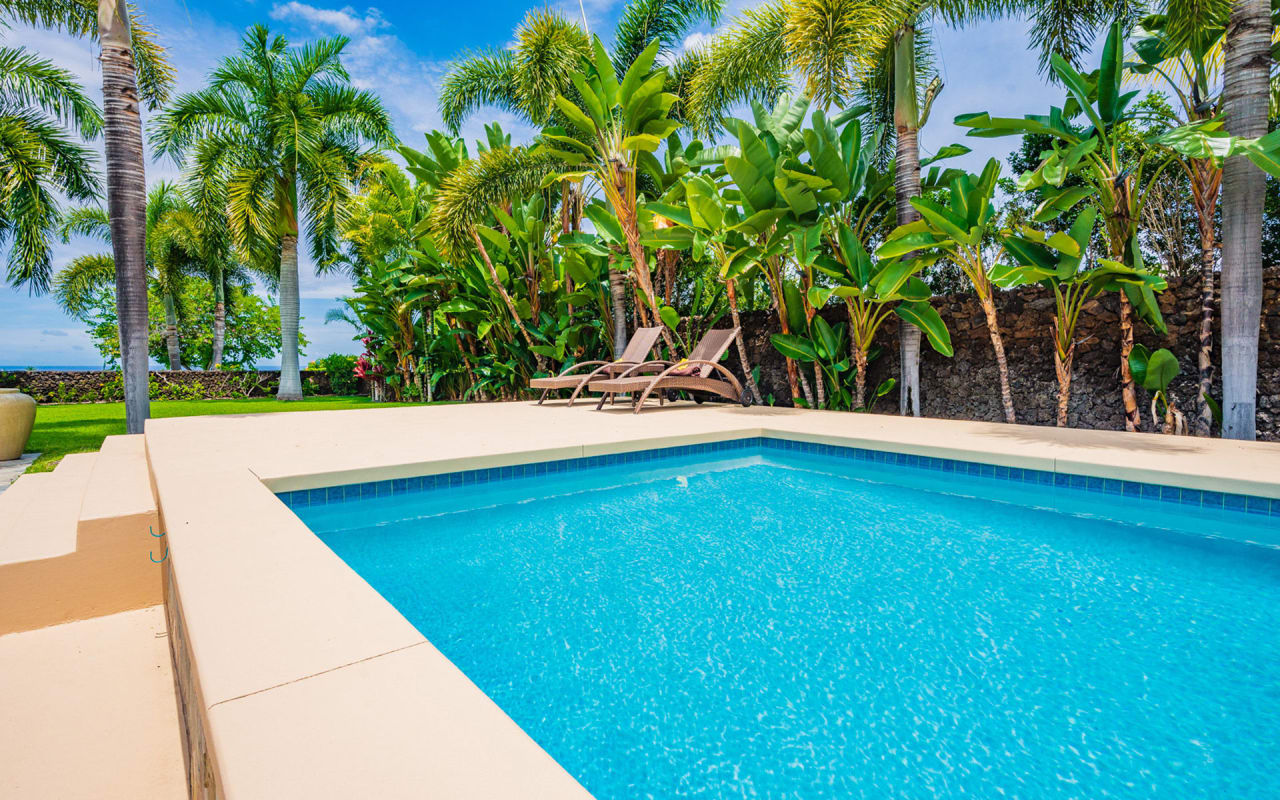 A large rectangular swimming pool surrounded with a lush green tropical palm trees