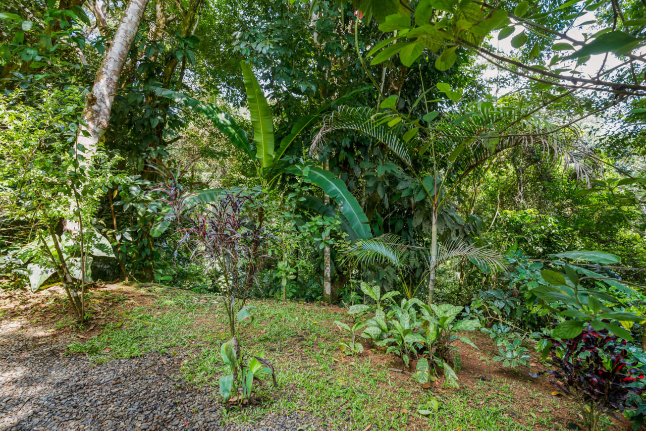 Tropical Villas on 11 Acres of Jungle. Great Location for a Retreat!