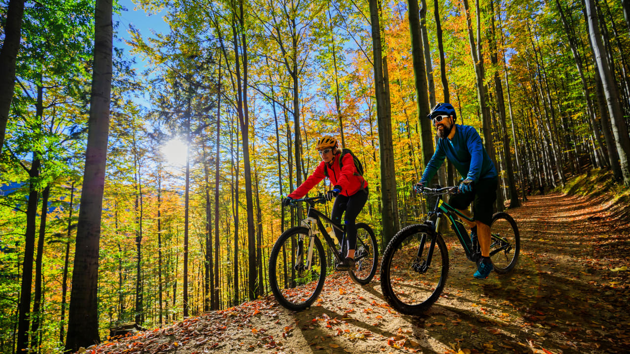 Property for sale in the Cuyuna area offers outdoor recreation like mountain biking.