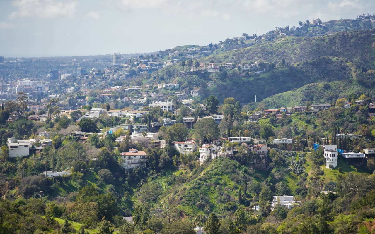 HOLLYWOOD HILLS