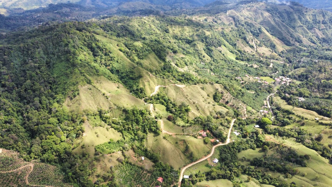 45 Acres Development Farm in San Luis with two Existing Homes 