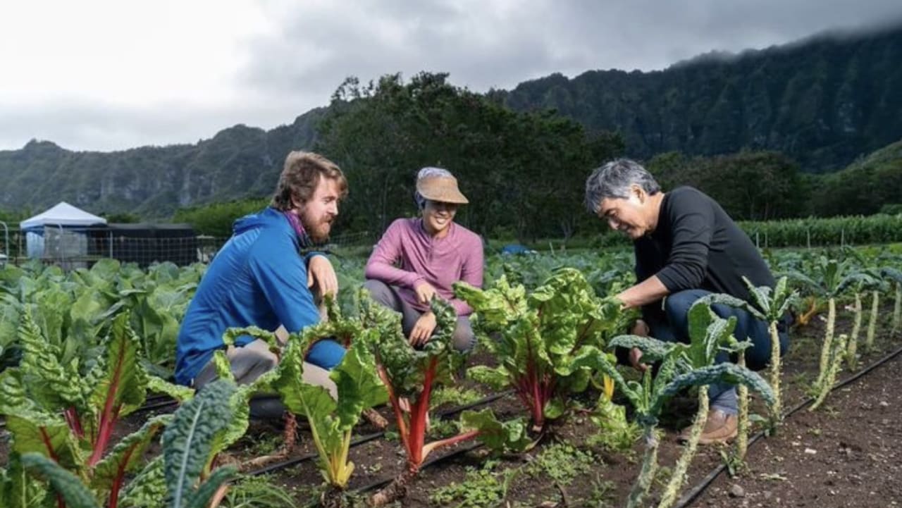 Tasty Tips: Farmer’s Markets