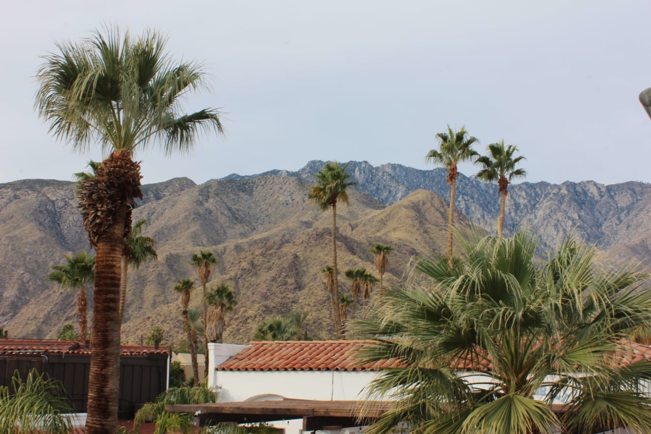 Palm Desert