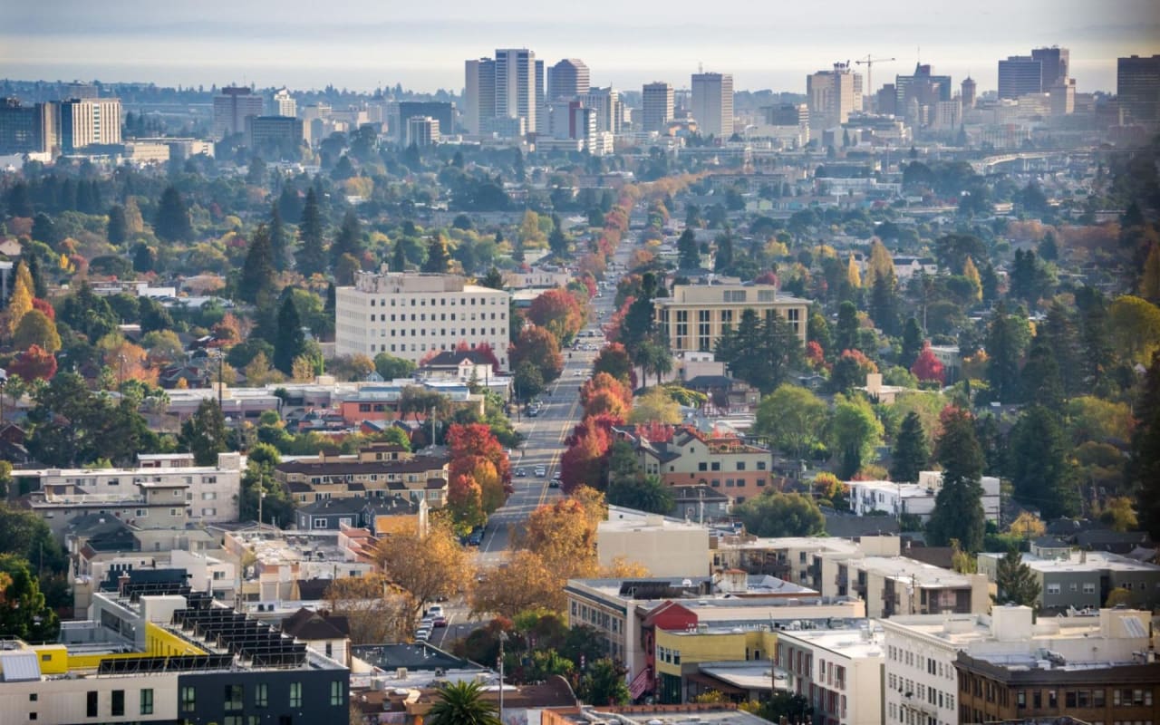 A Complete Guide to Living in Rockridge