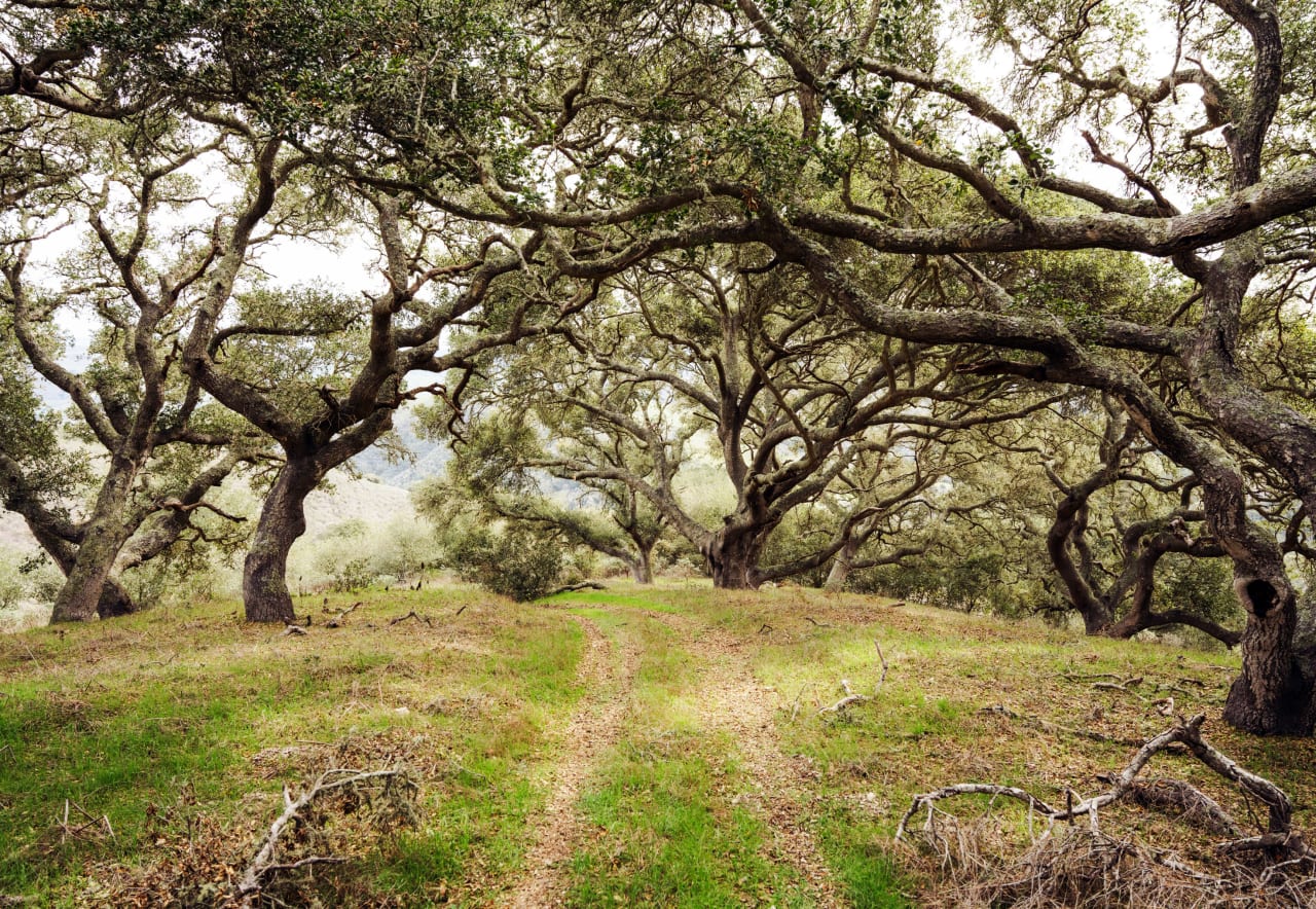 La Hoya Creek Ranch