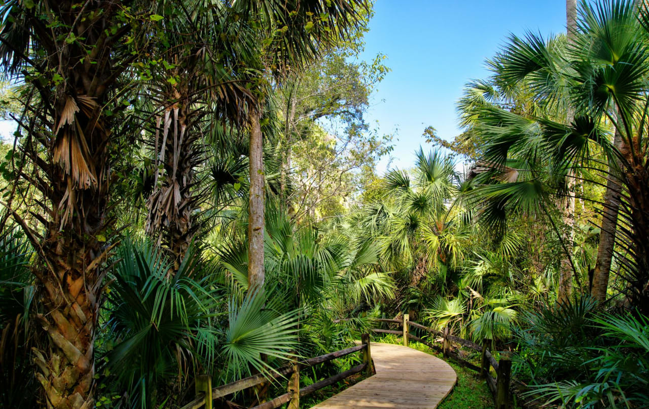 Ocala Preserve,Ocala, FL Real Estate & Homes For Sale The Drahan