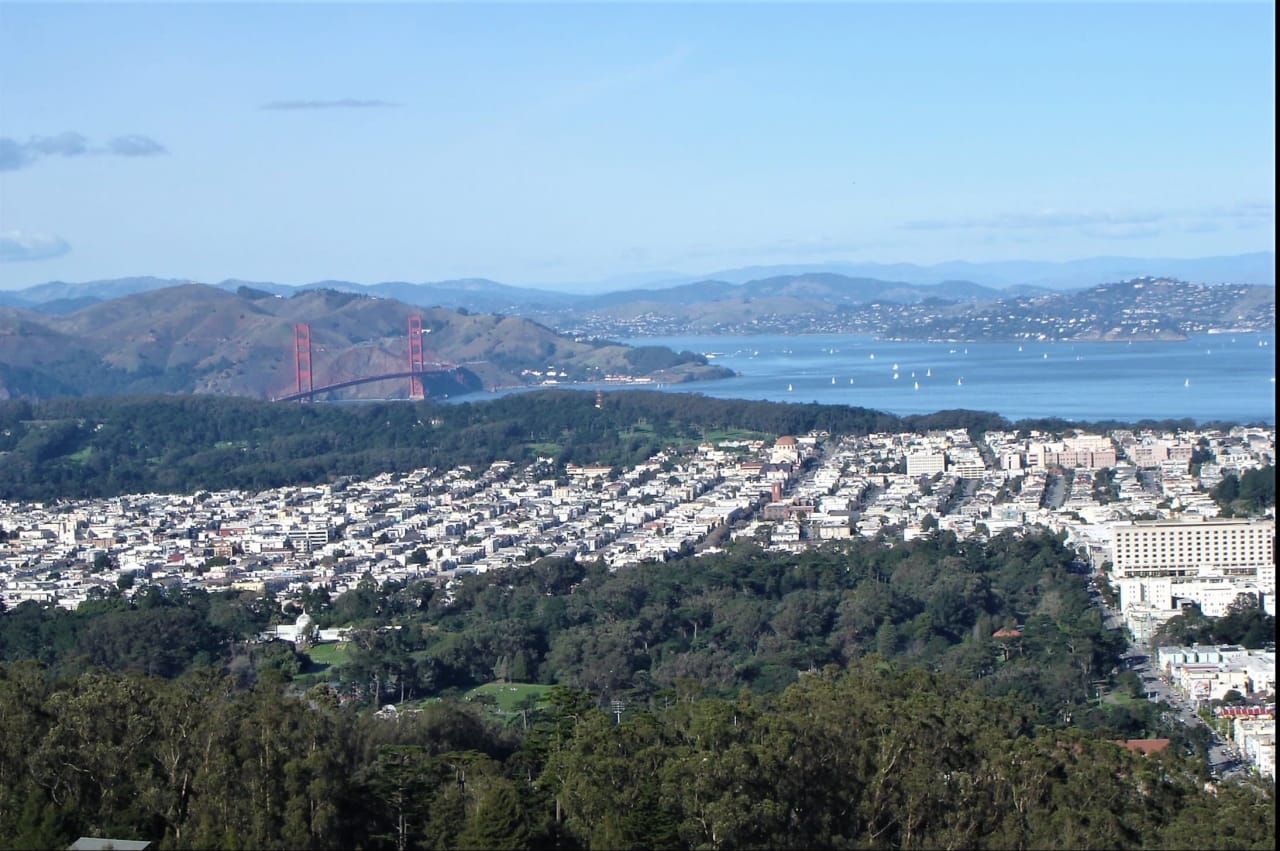 San Francisco 2023 November Real Estate Report