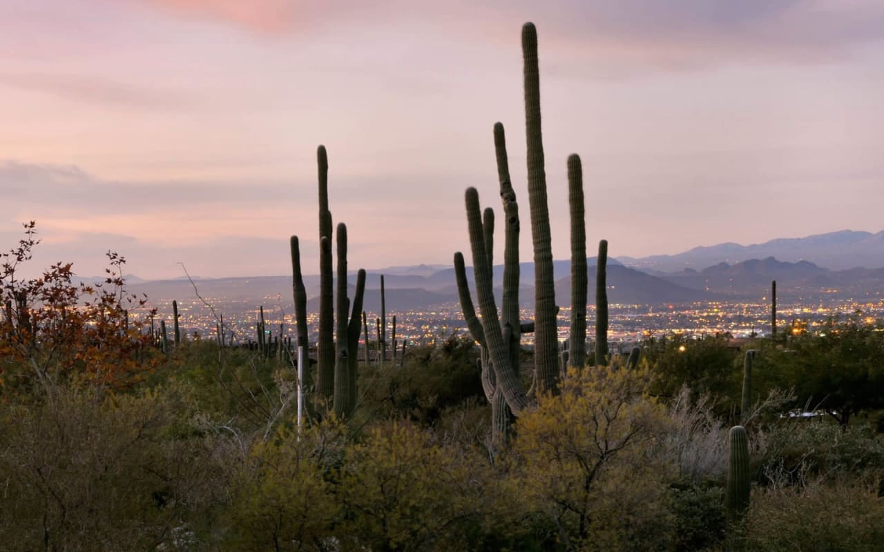 8005 N Barrel Cactus Drive Gray St. Onge Southern Arizona