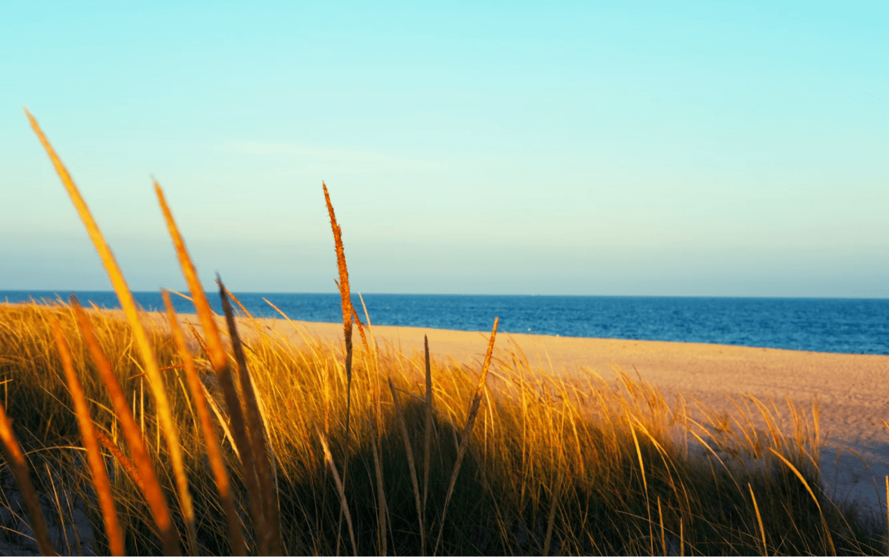 Things to Do in the Hamptons, NY