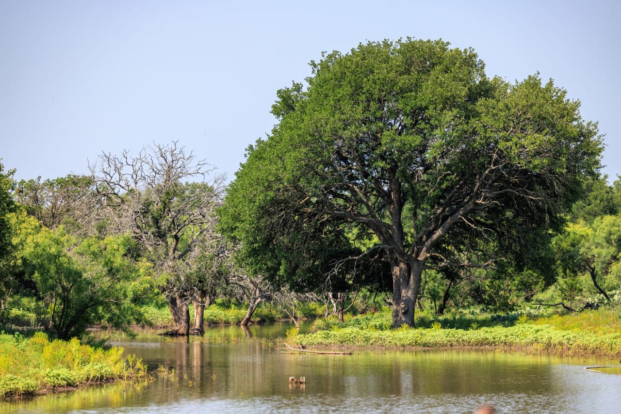 Golden Eagle Ranch