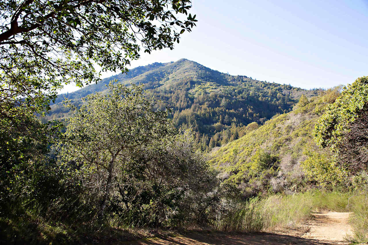 Boulevard Real Estate Marin County Real Estate