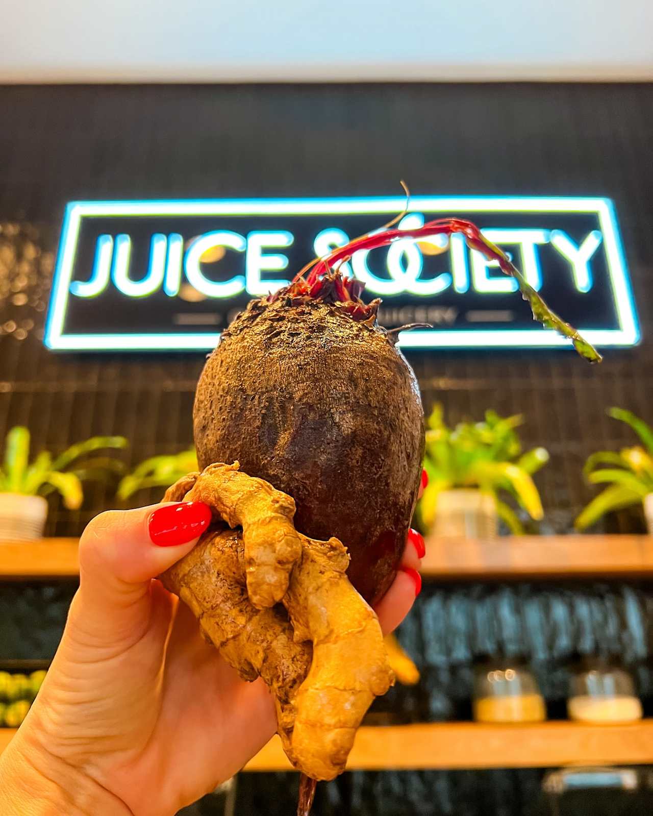 Juice Society Coconut Point Estero McGreevy and Comisar