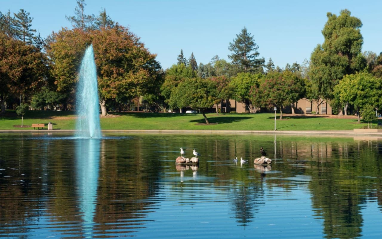 7 Reasons People Love Living in Sunnyvale