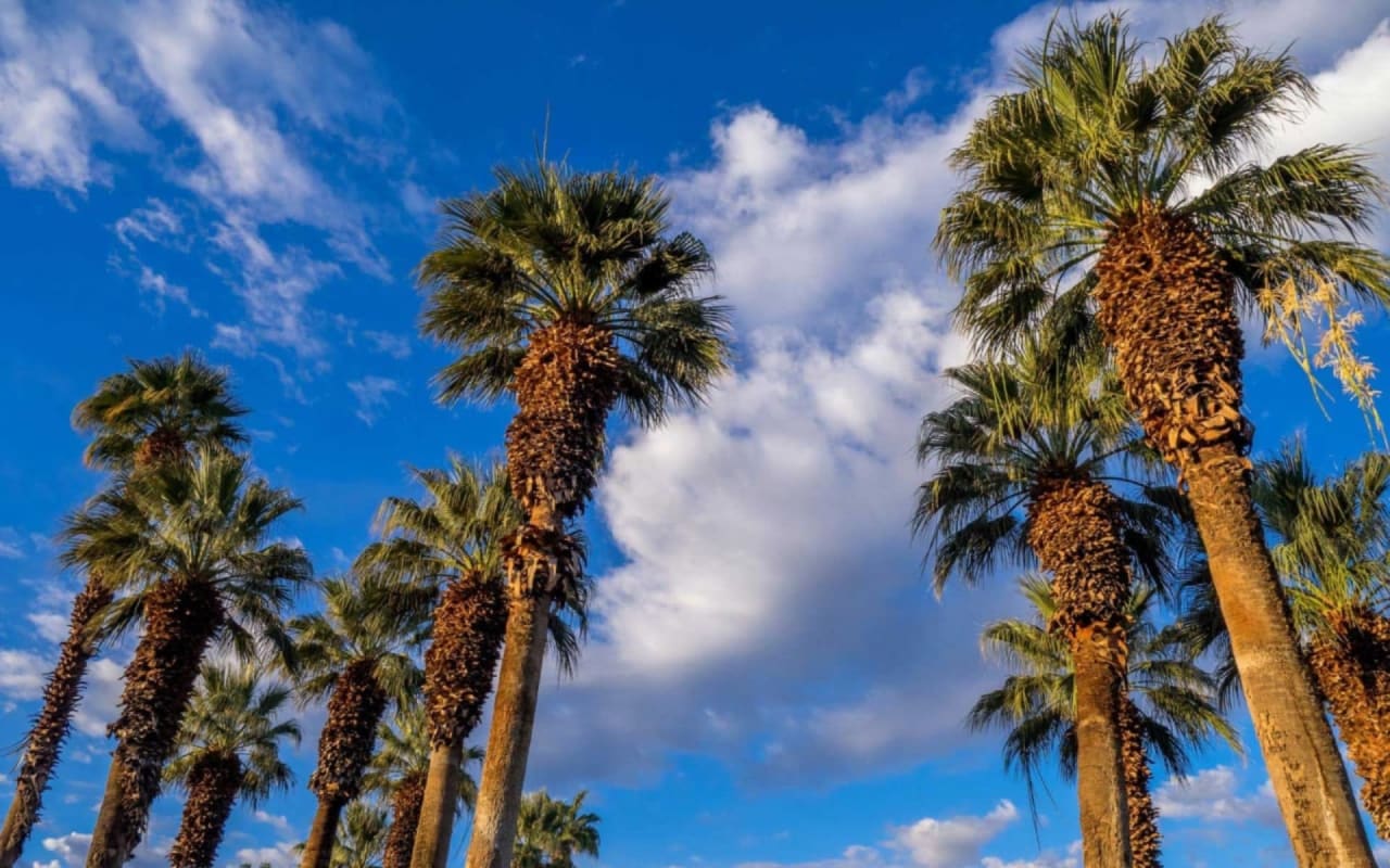 PALM DESERT