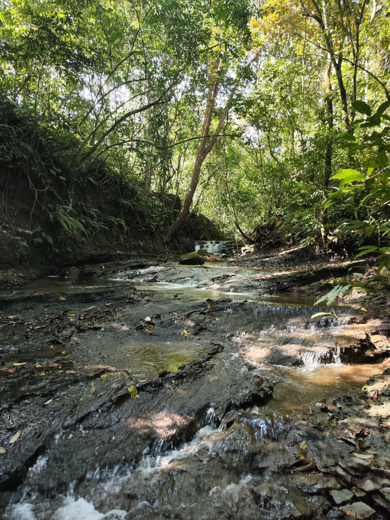 Finca Río General in Santa Luisa