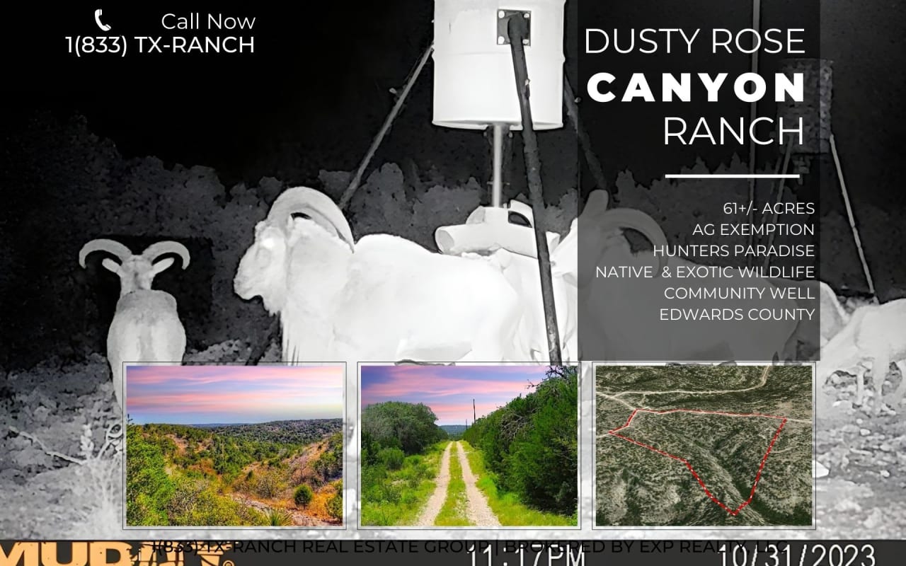Dusty Rose Canyon Ranch | 61 +/- ACRES | Edwards County