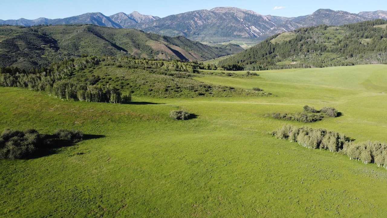 Willow Creek Ranch And Range