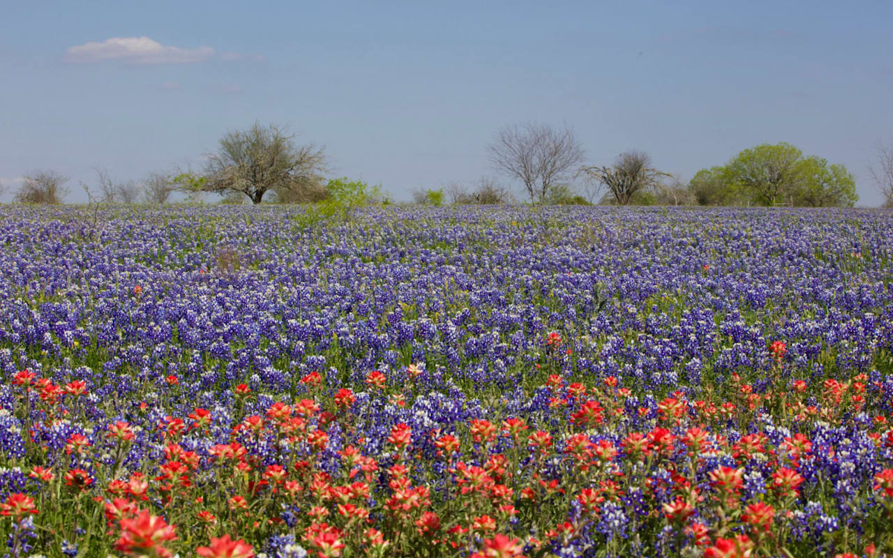 10 Best Outdoor Activities in and Around Harper Blog Fredericksburg