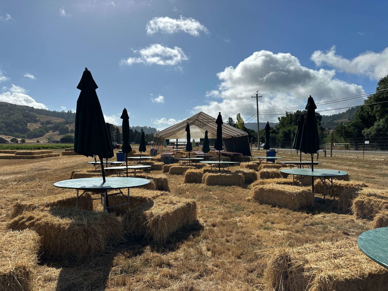 Celebrate Fall in Marin County with a Visit to Nicasio Valley Pumpkin Patch