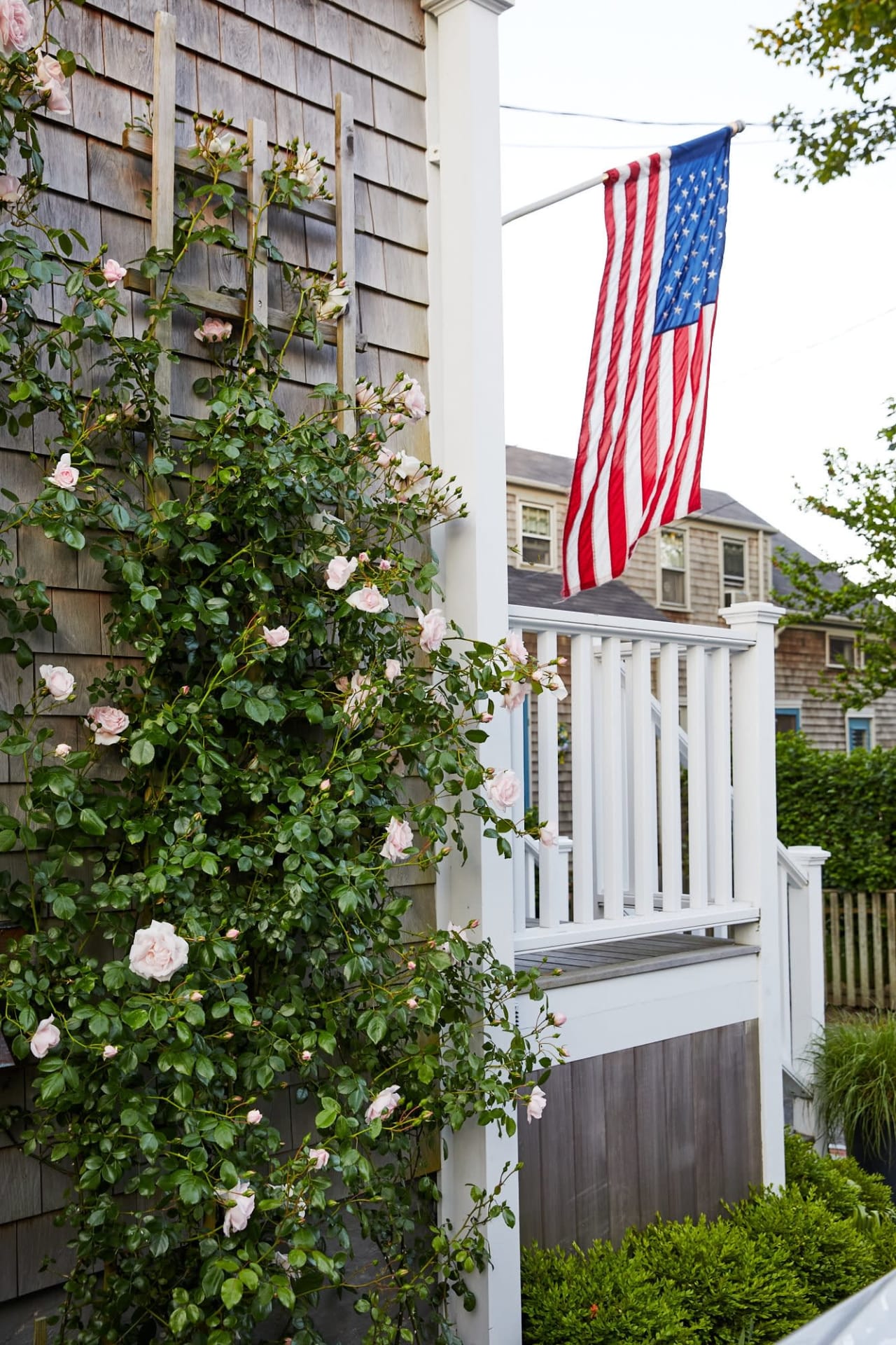 Light pink flowers and vines on the side of a house in Nantucket with an American flag on a home-mounted pole.