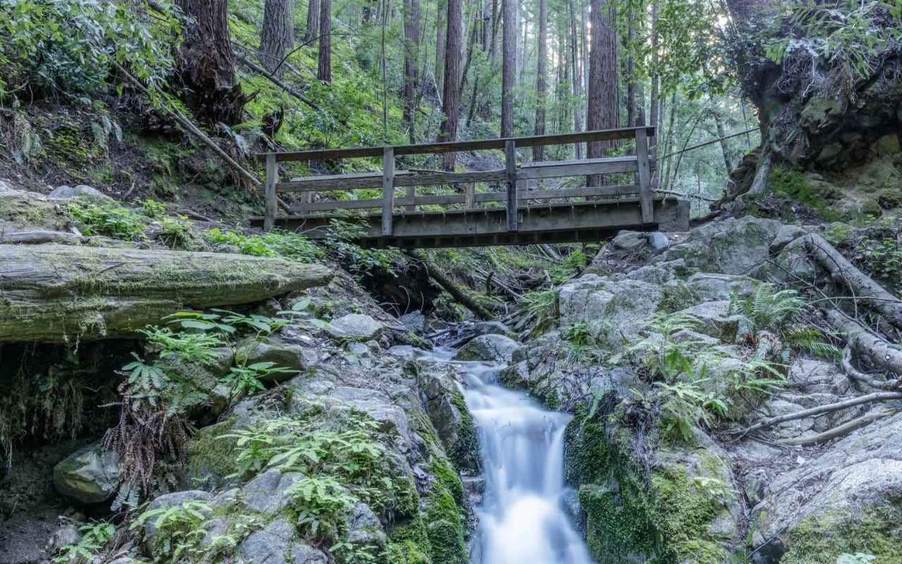 San Lorenzo Valley