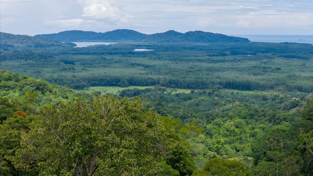 Costa Rican Gem with Conservation Potential: Preserve 26 Acres of Pristine Land