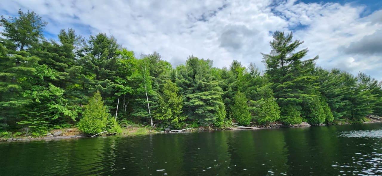 Fern Glen Road Round Lake 