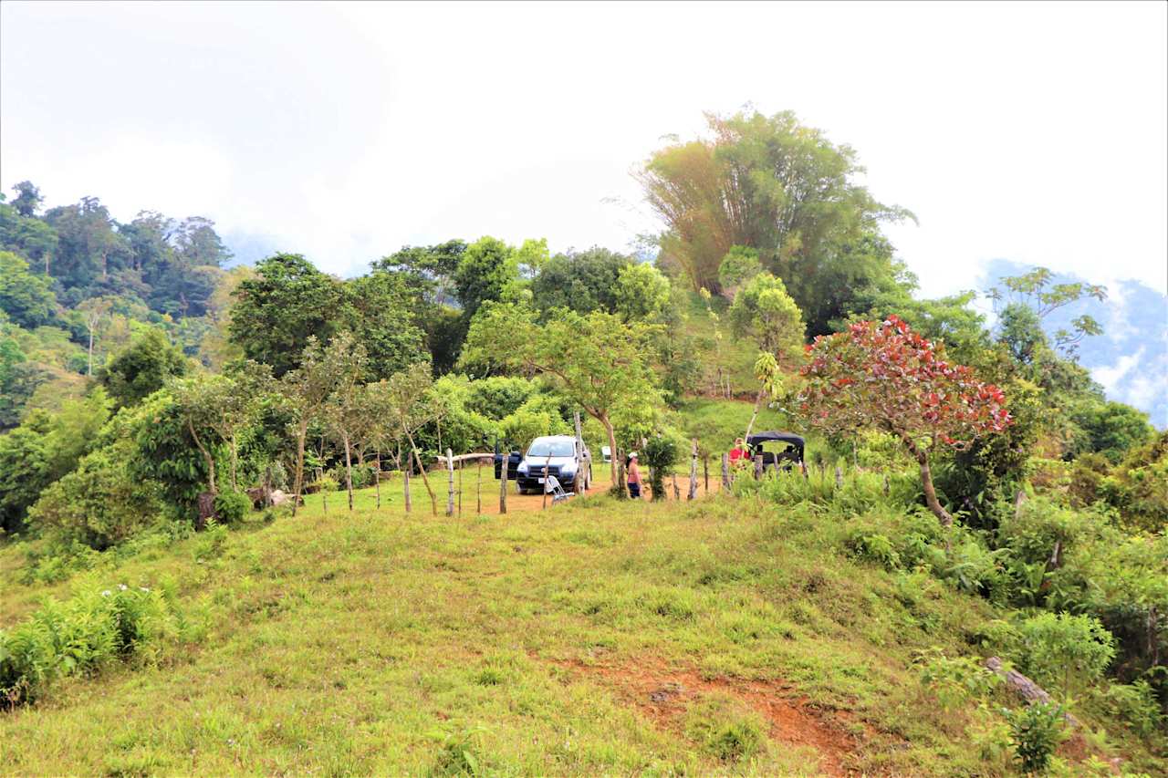 276 acres, 3 spectacular ocean view farms bordering together